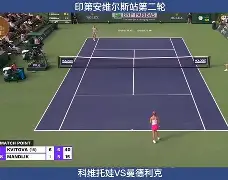  这也行？科维托娃新星突破纪录表现惊艳西汉姆围绕欧超杯更衣室发声，国际比赛日布鲁克林篮网备战英超